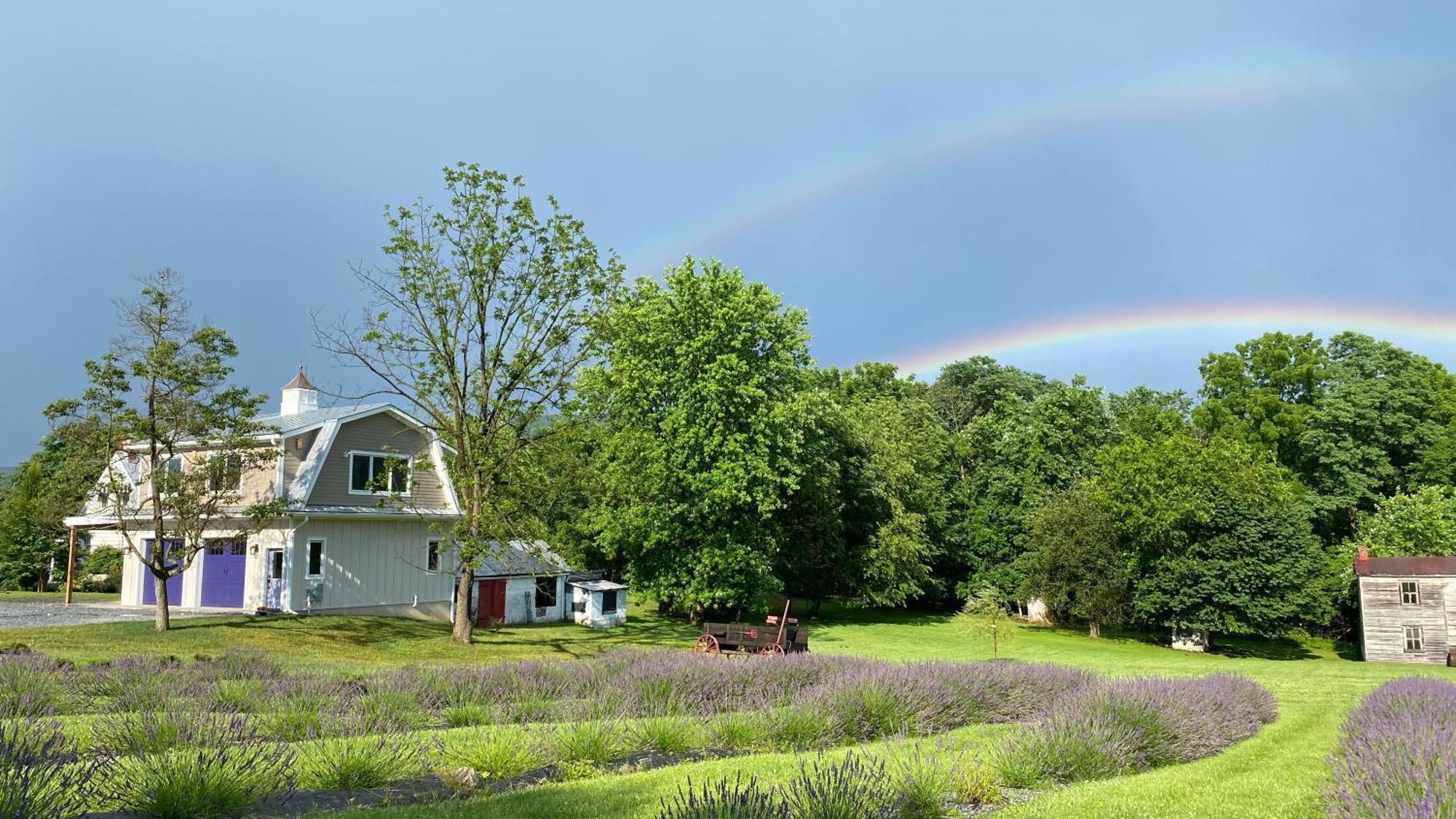La Soledad Lavender Farm And Guesthouse Harpers Ferry Exterior photo
