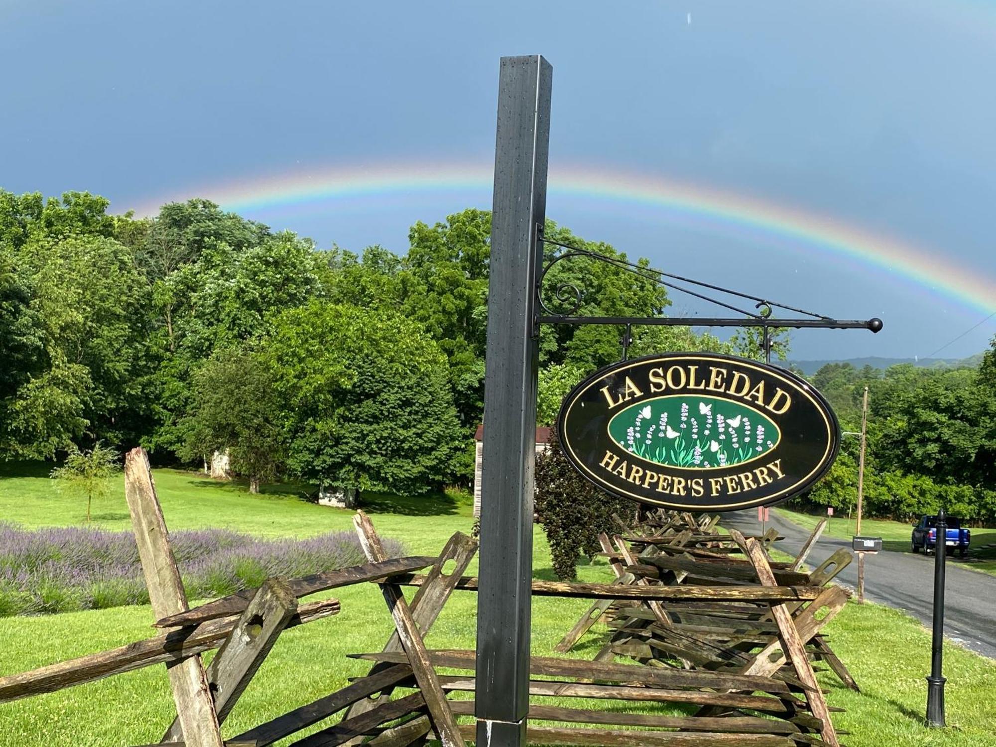 La Soledad Lavender Farm And Guesthouse Harpers Ferry Exterior photo